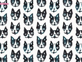 Boston Terrier Wallpaper
