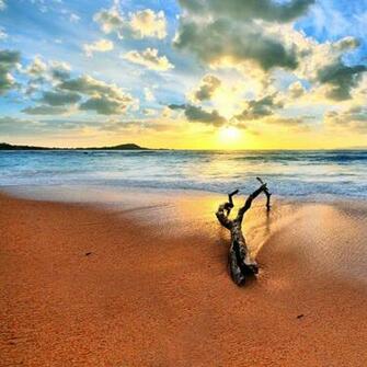 Summer Beach iPad Wallpaper