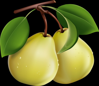 Pear Png And High Resolution Bitmap With Transparent Background