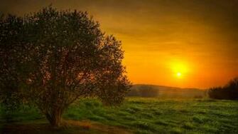 Sunset Nature Sun HD Wallpaper 3d Desktop