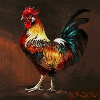 Rooster Wallpaper