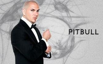 Pitbull Rapper Wallpaper