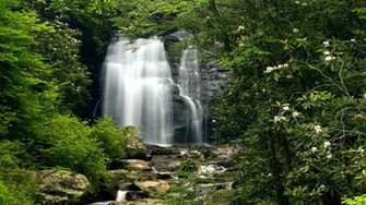 Waterfall In The Forest Wallpaper