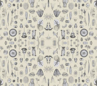 Giant Protozoa Bestiary Beige Wallpaper Chantal Spoonflower