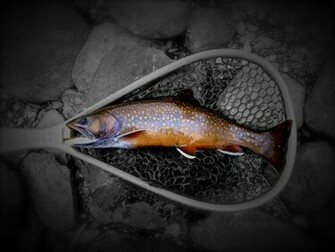 Simms Fly Fishing Wallpaper