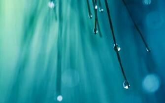 Mac Wallpaper Rainy Macbook Retina