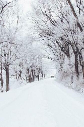 Winter Road Romantic Nature Snow White iPhone 4s Wallpaper