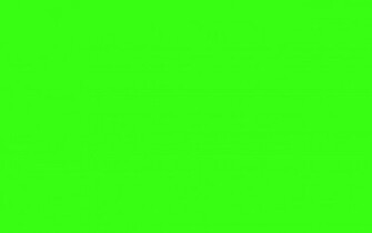 Green Solid Color Background And The Below