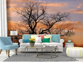 Amazon Skiwamural Self Adhesive Wallpaper Roll Paper Oak Tree