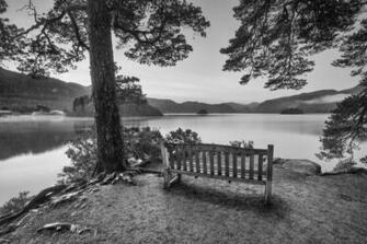 Friars Cragg Lake District Wall Mural Wallsauce Us
