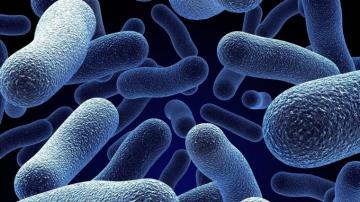 Microbes Wallpaper Top Background