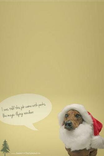 Bie Holiday Desktop Wallpaper Ammo The Dachshund