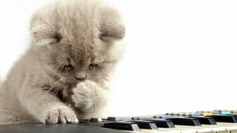 Piano Desktop Wallpaper High Definition Quality