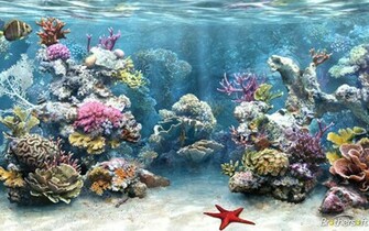 Fish Tanks Aquariums Screensavers
