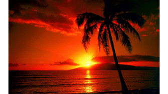 Tropical Sunset 4k Wallpaper