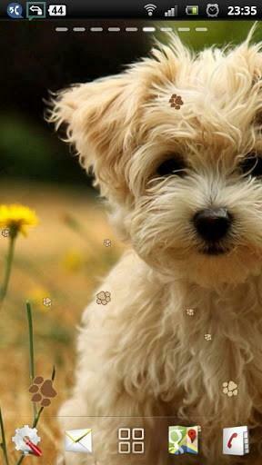 Free download Puppy Lite Live Wallpaper in 3D for Android [1200x750