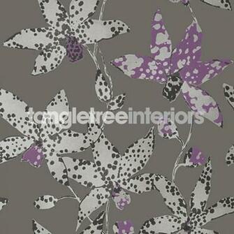 Home Wallpaper Anna French Seraphina Spotted