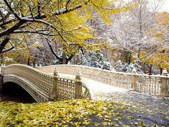 Snowfall In Central Park New York High Resolution Desktop Wallpaper