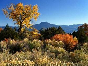 Cerro Pedernal Made Famous By Georgia O Keeffe Seen From Ghost Ranch