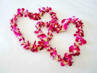 Happy Valentines Day Image Wallpaper And Pictures