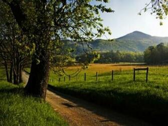 Inspirational Spring Wallpaper For Your Desktop Tutorialchip