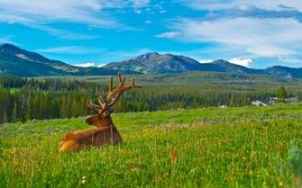 Microsoft Release Two New Nature Themed Wallpaper Packs For