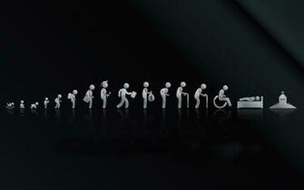 Life Stages Wallpaper