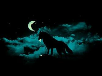 Gallery For Gt Dark Wolf Wallpaper