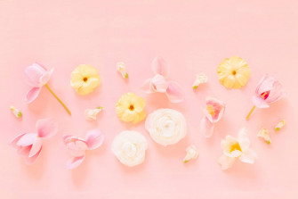 Pastel Pink Wallpaper
