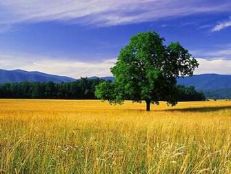 Tag Nature Scenery Wallpaper Background Paos Image And Pictures