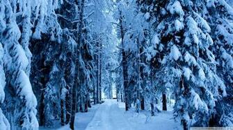 Snowy Wallpaper