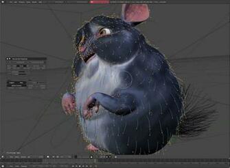 HD Wallpaper Desktop 1080p Chinchilla