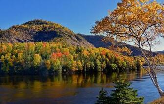 Wallpaper Autumn Forest Trees Mountains River Canada