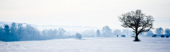Interfacelift Wallpaper Sorted By S