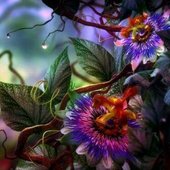 Exotic Flowers iPad Background Best Wallpaper