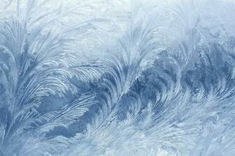 Ice Patterns Winter Frost Wallpaper