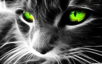 3d Cat Wallpaper