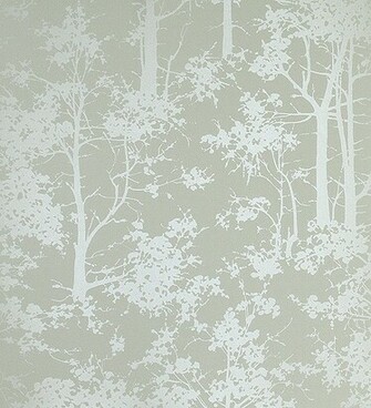 Neutral Background