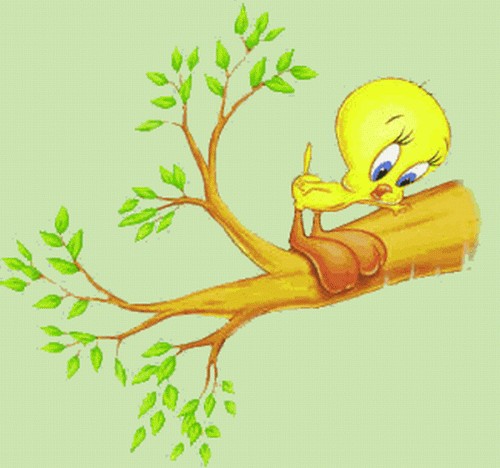 Pictures Image And Photos Wallpaper Thema Screensaver