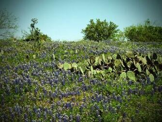 Texas Hill Country Tour Expedition Portal