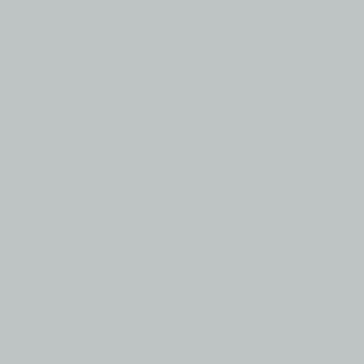Savage Widetone Seamless Background Paper Gray Tint X
