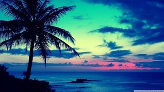Tropical Sunrise Wallpaper