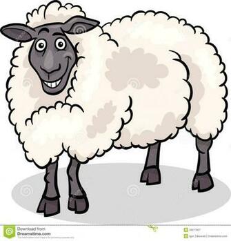 Cartoon Pictures Of Sheep Wallpaper HD Fine