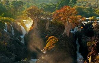 Wallpaper Light Trees Nature Africa The Kunene River