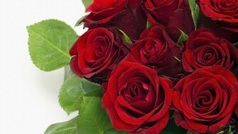 Red Roses Most Popular Rose Wallpaper Beautiful