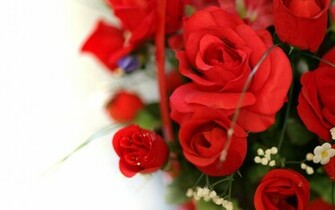 Beautiful Rose Flowers Wallpaper