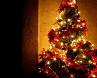 Beautiful Christmas Tree Wallpaper