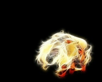 Pokemon Arcanine Wallpaper
