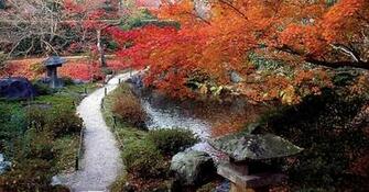 X Jpeg 325kb Welcome To Cjb HD Wallpaper Picture