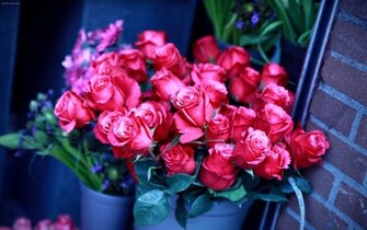 Roze Flower